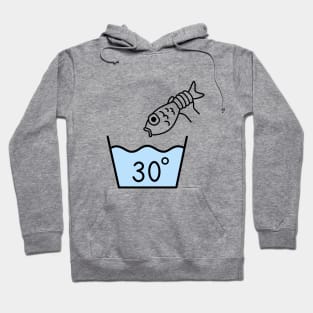 I Got Fish To Catch Hoodie